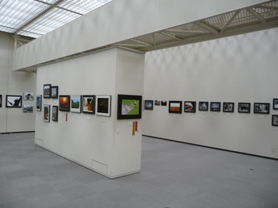 山口県高等学校総合文化祭展示部門での展示